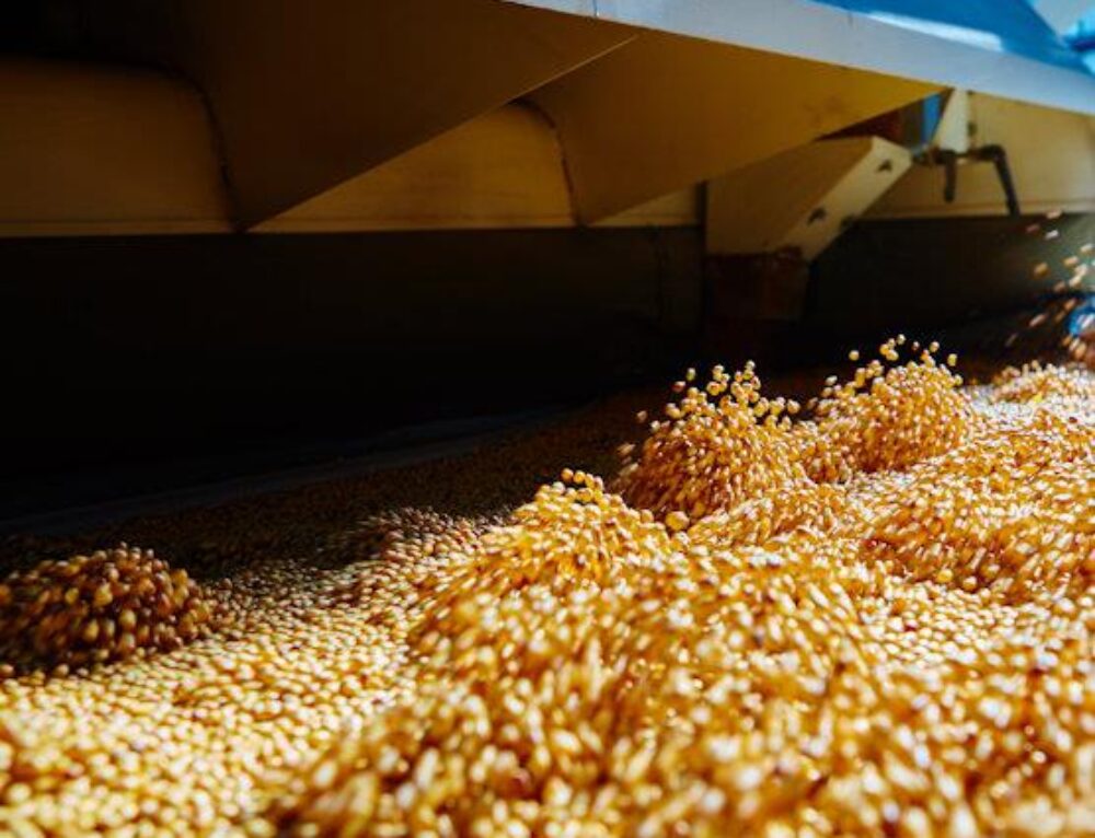 Grain Moisture Monitoring Corn Belt Testing