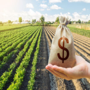 USDA Revised Farm Revenue Protection