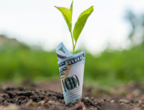 Farm Preparations for a Profitable Harvest Season