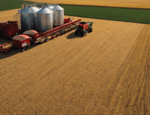 Maximize Grain Quality Post-Harvest with Expert Moisture Management Tips – Corn Belt Testing, Inc.