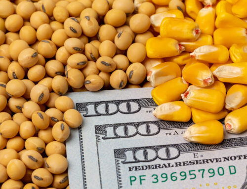 Commercial Facility & Large Farm Strategies for Grain Monitoring