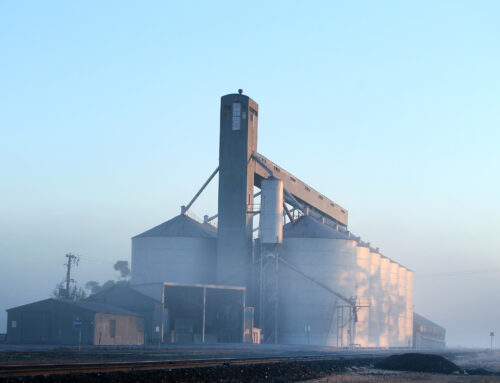 How Cold Weather Affects Grain Moisture Readings (And What Midwest Farmers Can Do About It)